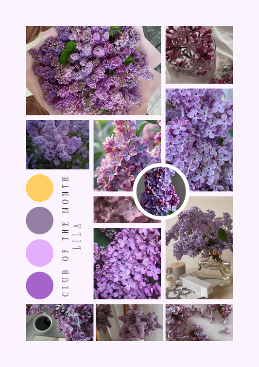 MYSTERY CLUB AVRIL ( Précommande )