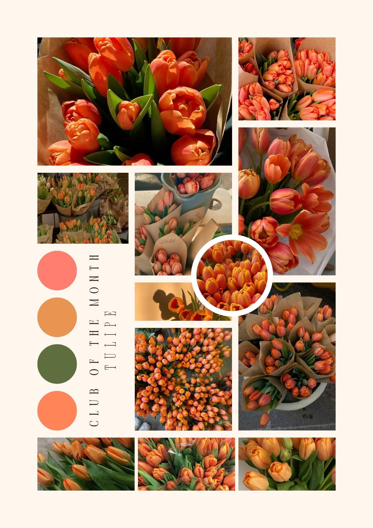 MYSTERY CLUB MARS ( PRECOMMANDE )